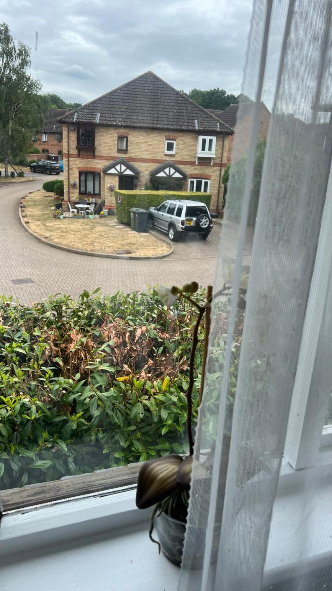 Beautiful Apartment In Guildford With Parking Send Exterior foto